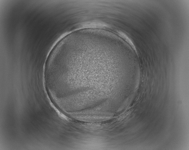 X0000082991103200702160017