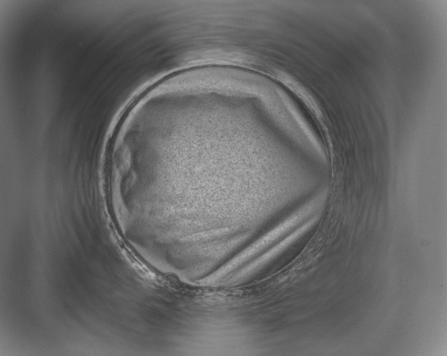 X0000082991104200702160017