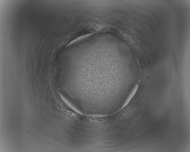 X0000082991105200702160016