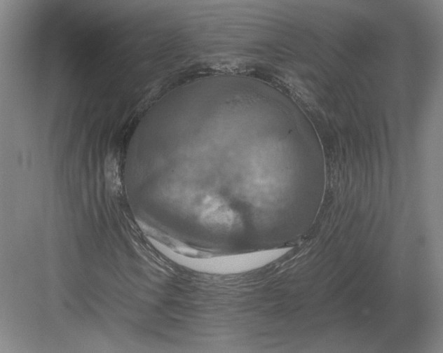 X0000082991106200702160016