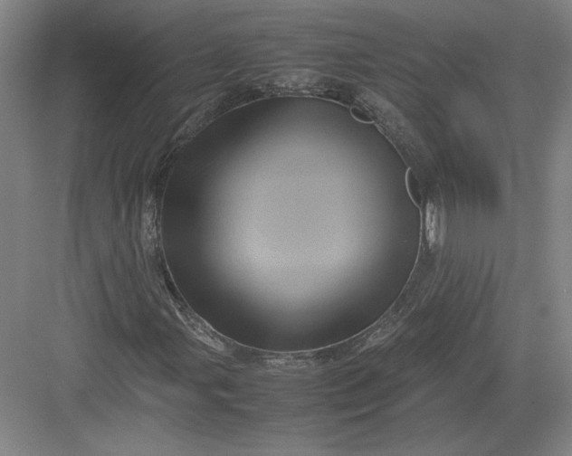 X0000082991107200702160016