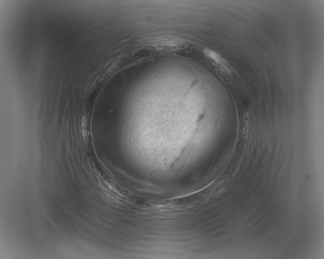 X0000082991108200702160016