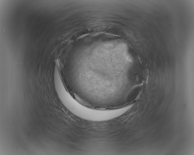 X0000082991109200702160016