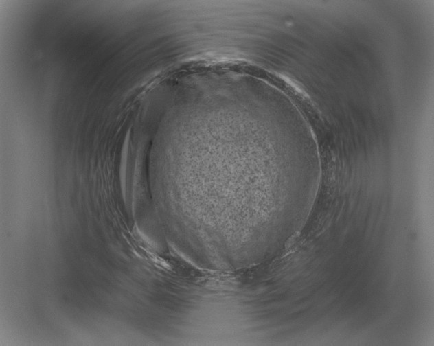 X0000082991110200702160016