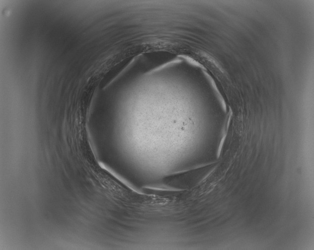 X0000082991111200702160016