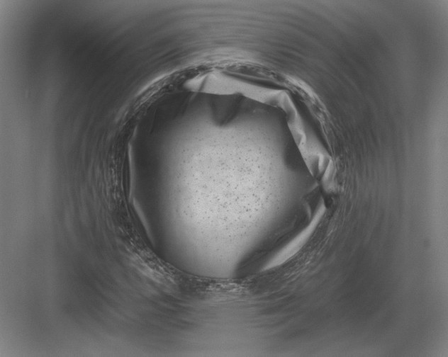 X0000082991112200702160016