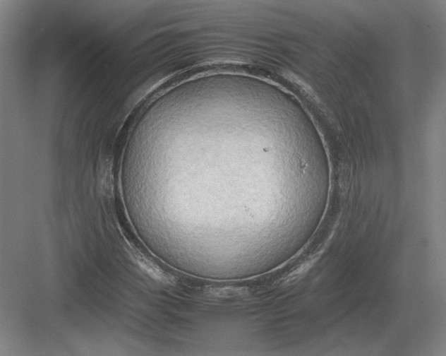 X0000082991113200702160016