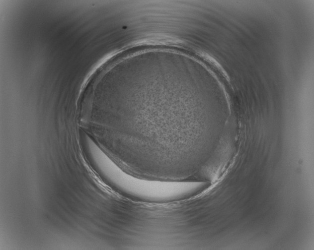 X0000082991114200702160016