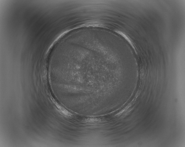 X0000082991115200702160016