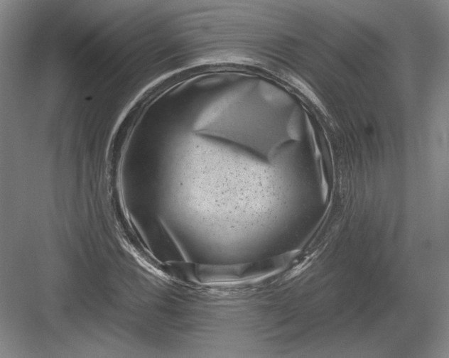 X0000082991116200702160016