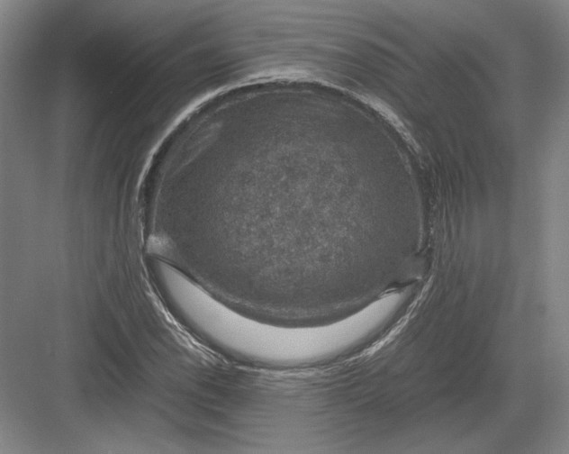 X0000082991118200702160016