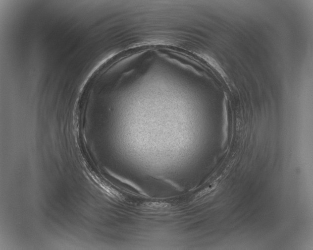 X0000082991119200702160016