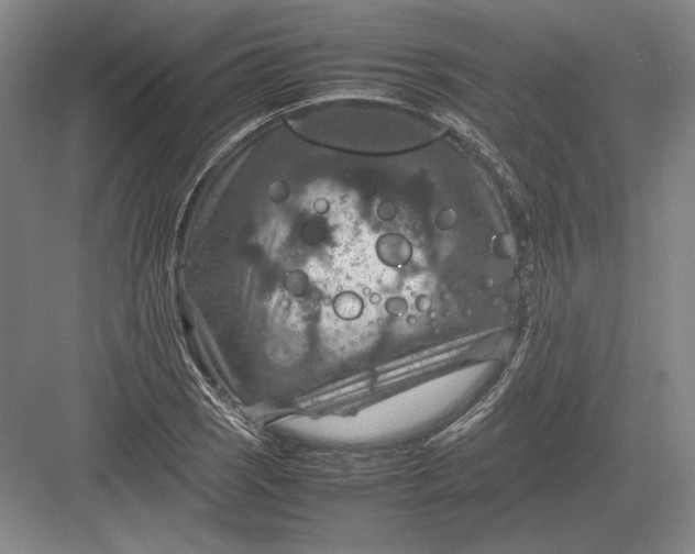 X0000082991121200702160016