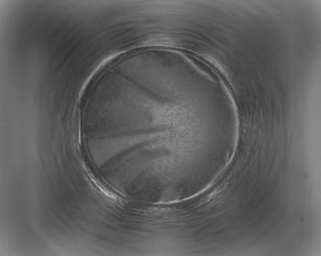 X0000082991123200702160016