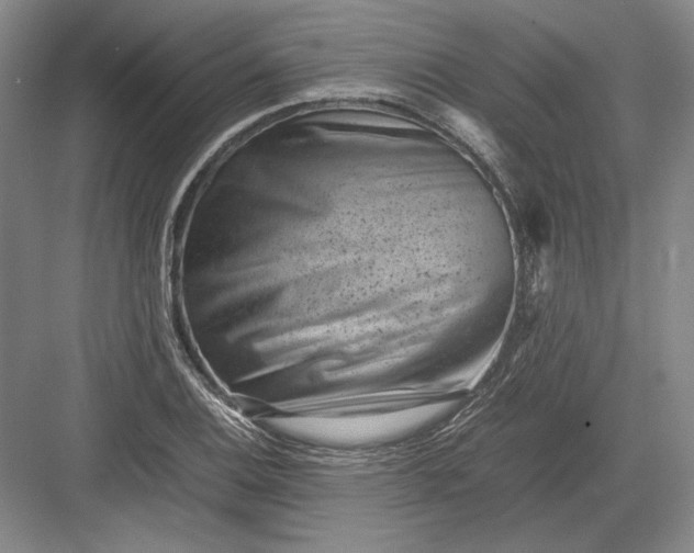 X0000082991124200702160016