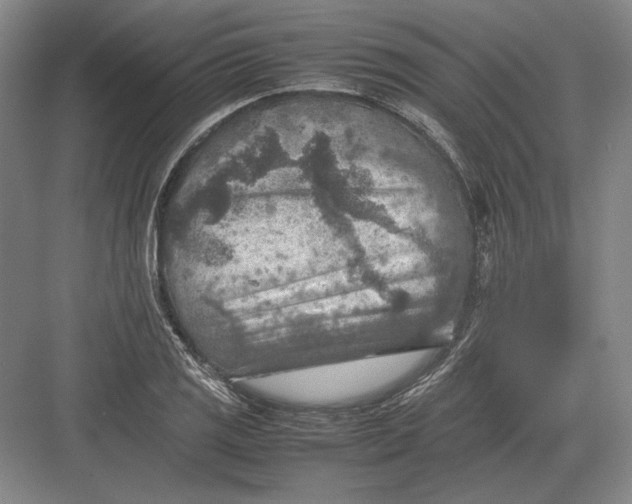 X0000082991125200702160016