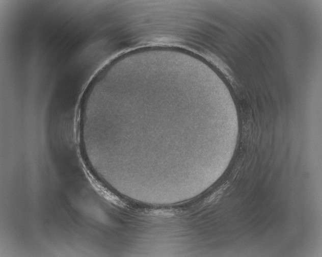 X0000082991126200702160016