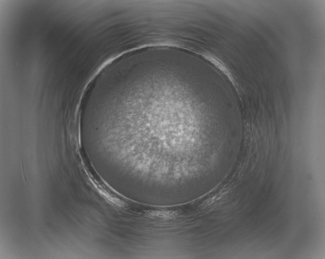 X0000082991127200702160016