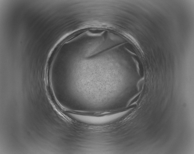 X0000082991128200702160016