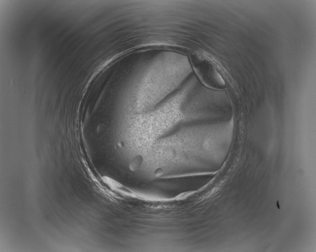 X0000082991129200702160017