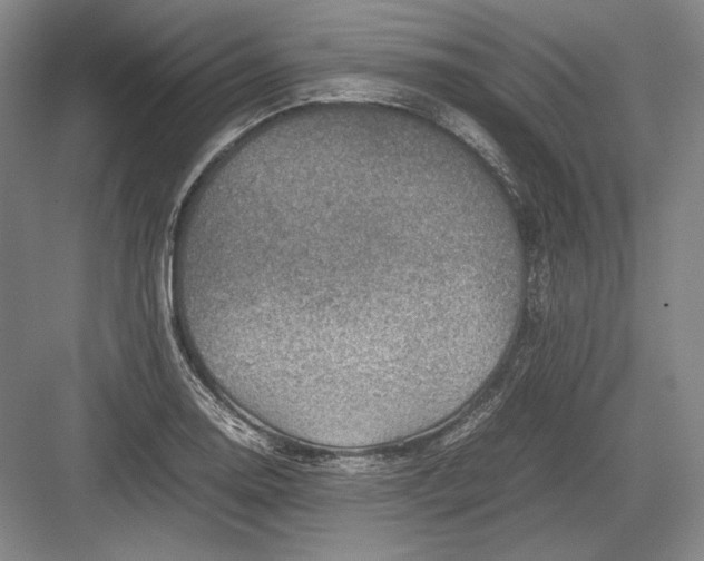 X0000082991130200702160017