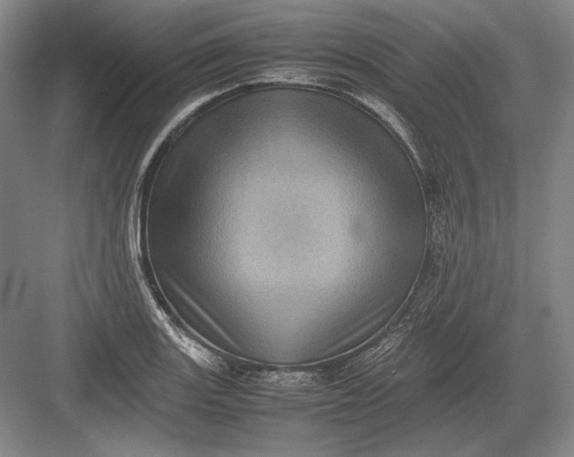 X0000082991131200702160017