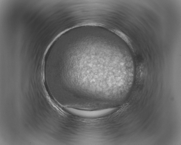 X0000082991132200702160017