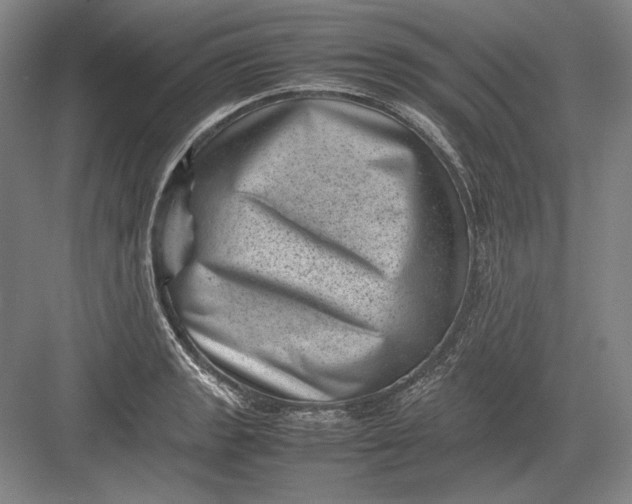 X0000082991133200702160017