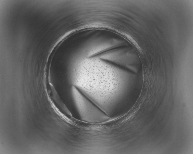 X0000082991134200702160017