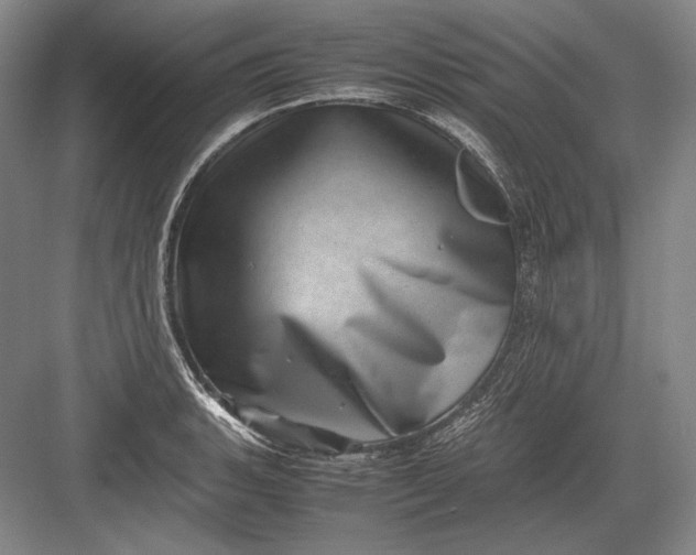 X0000082991135200702160017