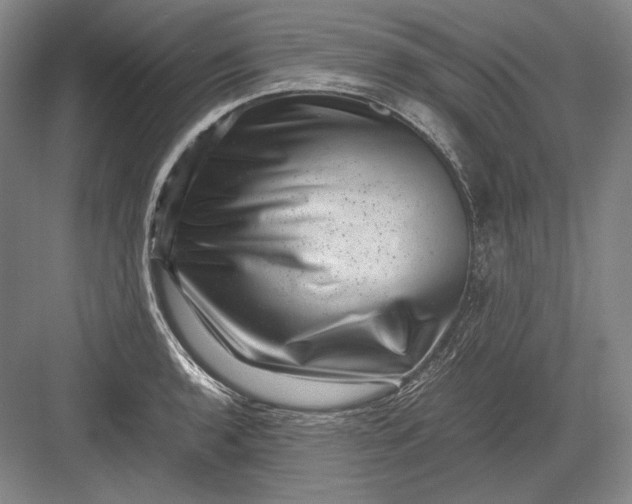 X0000082991136200702160017