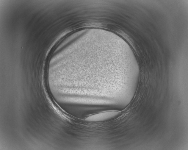 X0000082991139200702160017