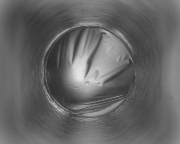 X0000082991140200702160017