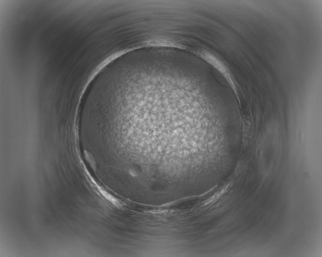 X0000082991141200702160017