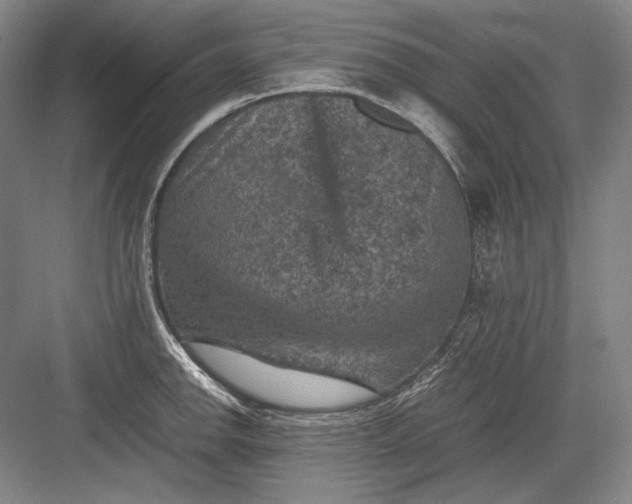 X0000082991142200702160017