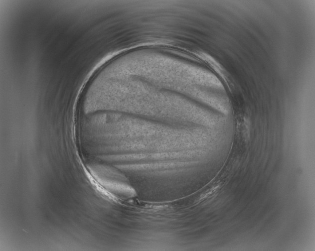 X0000082991143200702160017