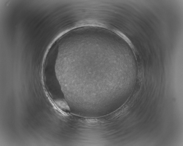 X0000082991144200702160017