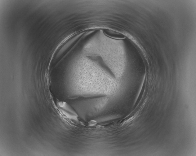 X0000082991145200702160017