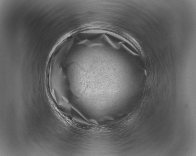 X0000082991146200702160017