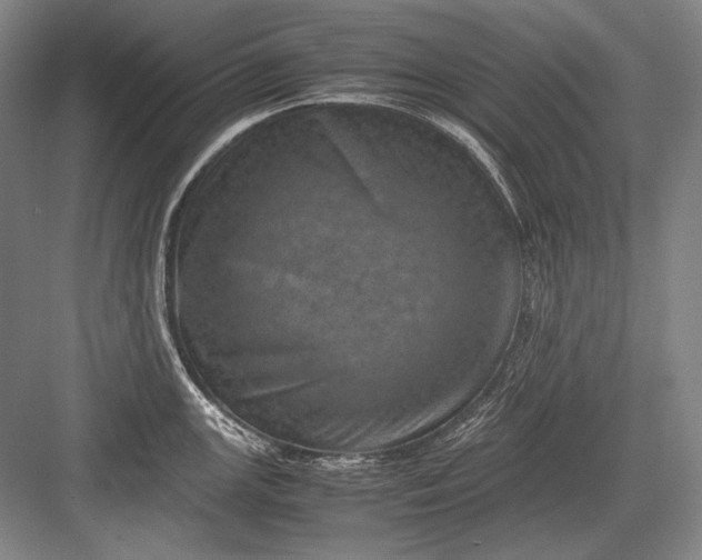 X0000082991147200702160017