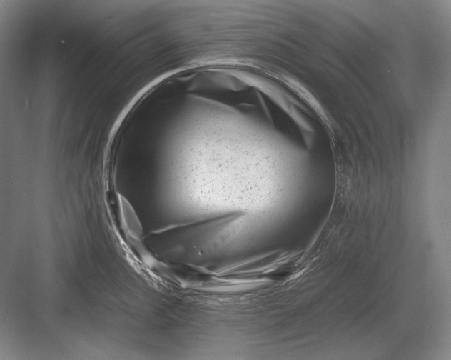 X0000082991148200702160017