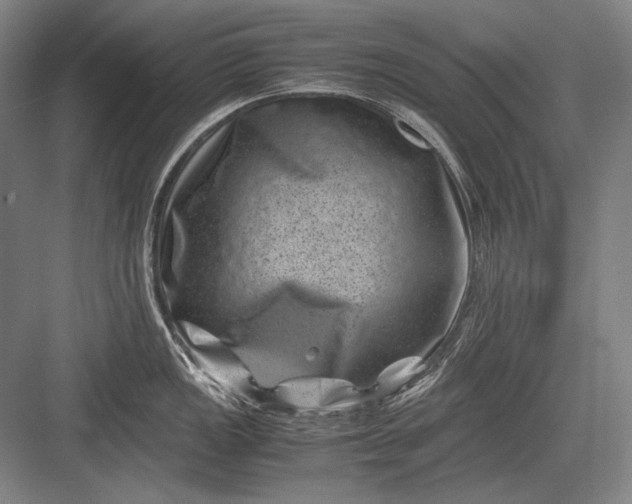 X0000082991149200702160017