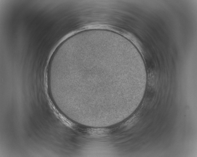 X0000082991150200702160017