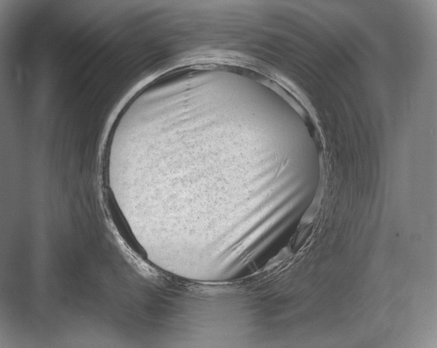 X0000082991152200702160017