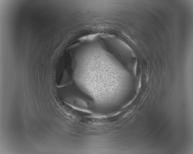 X0000082991153200702160016