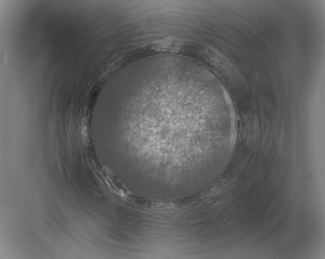 X0000082991154200702160016