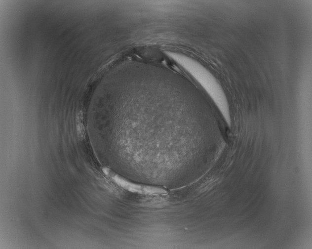 X0000082991156200702160016