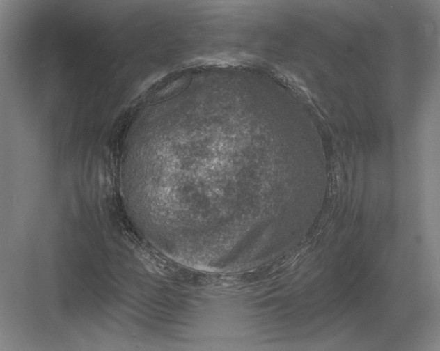 X0000082991158200702160016