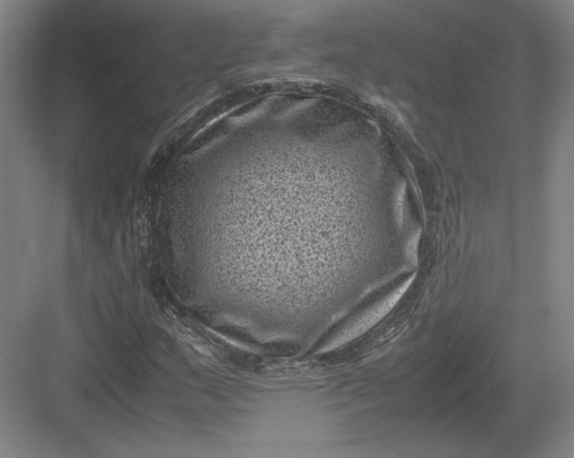 X0000082991159200702160016