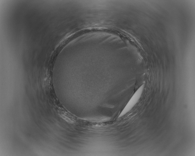 X0000082991160200702160016